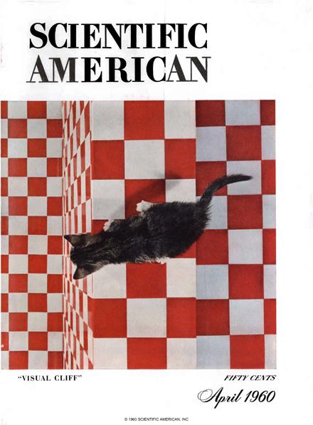 The Cover of Scientific American shows a kitten staring over a precipice.